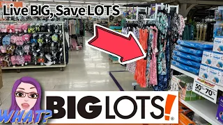 BIG LOTS❗️ 🚨 EXCITING NEW ARRIVALS WITH BLOW OUT PRICES😲 #shopping #new #biglots