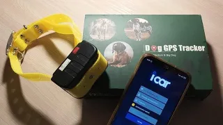 DOG GPS Tracker IK122 (ICAR). Обзор и тест. Достойный аппарат