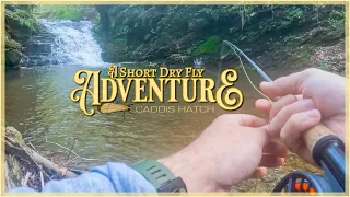 A Short Dry Fly Adventure (A Pennsylvania Fly Fishing Story)