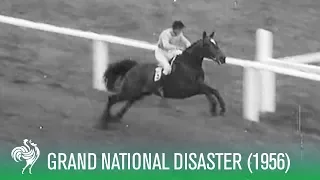 UNBELIEVABLE  Finish at the Grand National Horse Race (1956) | Sporting History