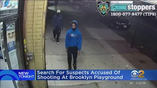 Suspects accused of shooting at Brooklyn playground