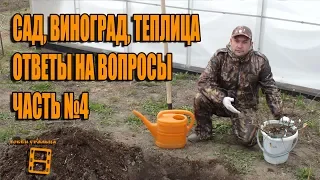 САД, ВИНОГРАД, ТЕПЛИЦА. №4 ОТВЕТЫ НА ВОПРОСЫ. ПРЯМЫЕ ТРАНСЛЯЦИИ