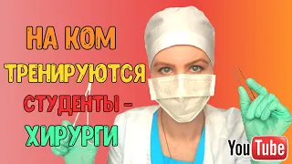 НА КОМ ТРЕНИРУЮТСЯ ХИРУРГИ?