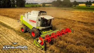 ✔ Żniwa Rzepaku 2O2O ✔ Claas Lexion 460 ✔ GR Bosek ✔