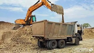 Hyundai Machine Working Mud in Tata Dumper  || Dumper loading video #jcbvideo #jcb #dumpervudeo