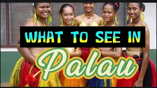 What to see in Palau? Anything Good? #palau #nature #pacificislands #ocean