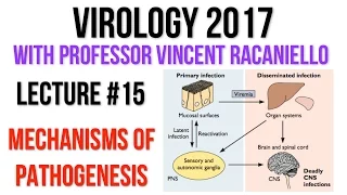 Virology Lectures 2017 #15: Mechanisms of Pathogenesis