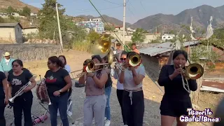 🐎BANDA LAS POTRANKA'S DEL SURESTE 👑 POPURRÍ DE SONES (BANDA DE PURAS MUJERES)