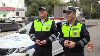 В Абазе полицейские Хакасии вместе с гражданами вызволили добермана, увязшего в битумной смеси