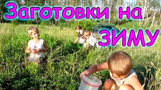 Заготовки 2017 - важные покупки, сушим, морозим, собираем. (07.17г.) Семья Бровченко.