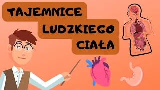 Tajemnice Ludzkiego Ciała z Panem Nauczanką [Film Edukacyjny dla Dzieci]