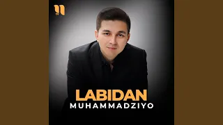 Labidan