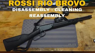 Rossi Rio Bravo Disassembly - Cleaning - Reassembly
