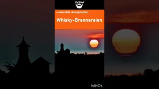 Die korrekte Aussprache von Whisky-Brennereien! 🧐👉🏻🥃 #shorts #whisky #fun #funny #memes #pathock