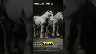 The Only Horse You Need In RDO (The Best RDR2 Online Horses)