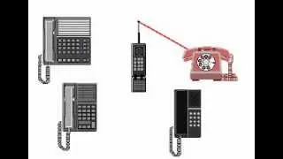 Telephone's Basic Principles, Rate My Science