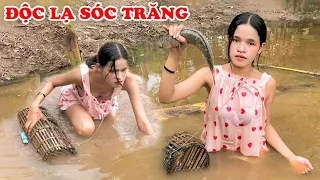 The World Shocked 15 Strange Things Soc Trang Makes You Don't Dare To Believe