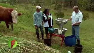 Cómo Utilizar el Molino de Martillo para hacer Concentrado en la Finca - Juan Gonzalo Angel