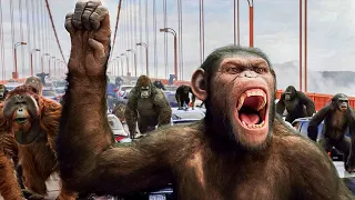 Macacos Cobaias Acabam Ficando Extremamente Inteligentes e Começam Uma Revolta Contra Os Humanos