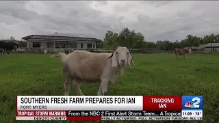Farm owners prepare to protect barn of animals ahead of Hurricane Ian