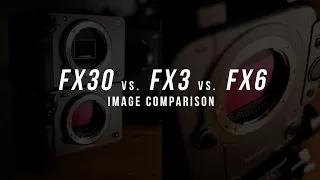 FX30 vs. FX3 vs. FX6 Image Comparison