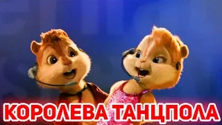 Элвин и Бурундуки поют Королева танцпола (Джаро & Ханза)