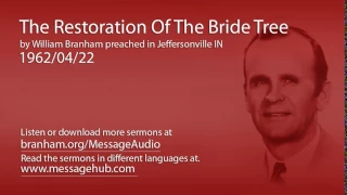 The Restoration Of The Bride Tree (William Branham 62/04/22)