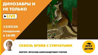 Занятие "Сквозь время с сумчатыми" кружка "Динозавры и не только" с Ярославом Поповым