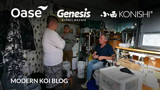 Modern Koi Blog #5706 - Live aus Japan: Der 4.500 Liter Innenteich von Amioka-san