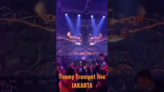 Timmy trumpet live Jakarta