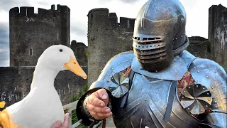 I took my duck to Medieval Times (knights and sword fights)