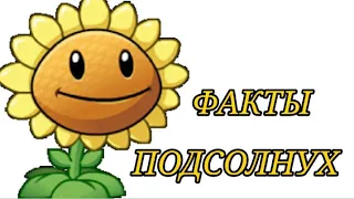 Факты о Подсолнухе