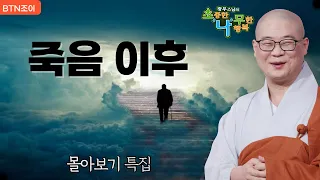 죽음 이후 '모든 것이 끝났다고 말하지 말라'ㅣ광우스님 소나무 몰아보기