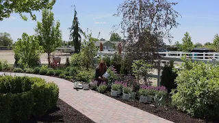 Planting Salvia and a Brand New Sedum! 🌿// Garden Answer