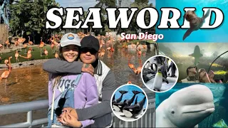 SEAWORLD EXPERIENCE! | Zeus & Pauline