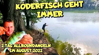 2.Tag Allroundangeln mit Erfolg. Köderfisch und Co. August 2022