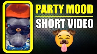 Brody is in Party Mood Today #shorts Funny Dog Video | Harpreet SDC