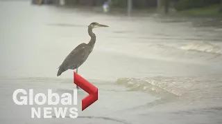 ‘The storm is not over’: 3rd atmospheric river pounds British Columbia | FULL