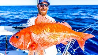 GIANT GOLDFISH in 400m of Water!! ||  Ruby Snapper VS Flame Tail CATCH and COOK