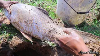 UNDERGROUND Catchin Fish By Two Brother | Catfish Big Fish Alive Under Hole On Dry Season