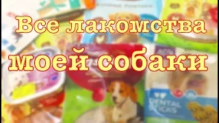 ВСЕ ЛАКОМСТВА, КОРМА, ВИТАМИНЫ моей собаки. Часть 1