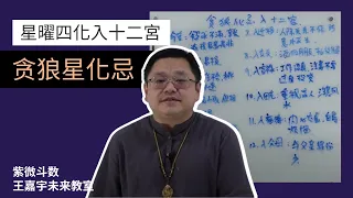 【星曜四化】贪狼星化忌入十二宫｜王嘉宇未来教室