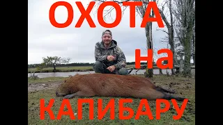 Охота на капибару в Аргентине. Capybara Hunting in Argentina