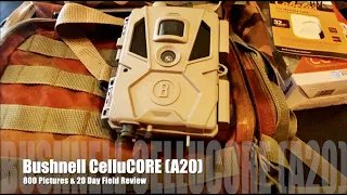 Bushnell CelluCORE A20 | 800 Picture & 20 Day Field Review