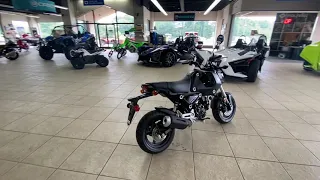 NEW 2022 HONDA GROM BLACK LOWELL NC