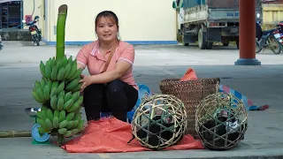 Knitting bamboo cages Selling ducks, Harvesting bananas, Bringing to market, Planting fruit trees