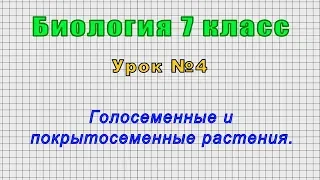 Биология 7 класс (Урок№4 - Голосеменные и покрытосеменные растения.)