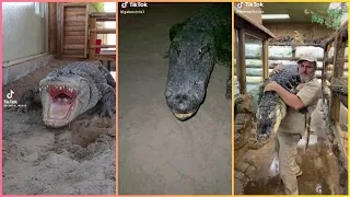 Dangerous animals: crocodile, alligator tiktok compilation