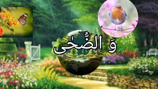surat ad duha || سورت الضُّحٰی ||Qari ubaid ur Rahman||Islamic videos