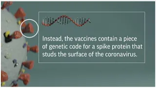 Pfizer & Moderna vaccine explained